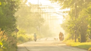 เช้านี้แถวบ้านระหาร